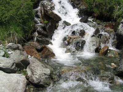 Torrent