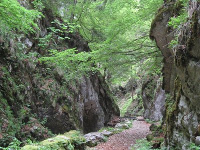 Bas du sentier