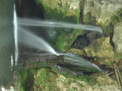 la chute