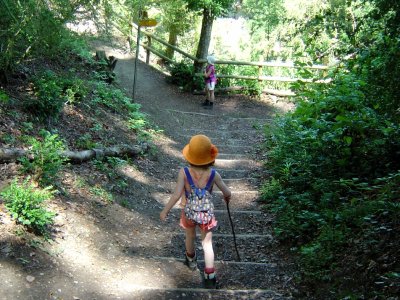 Sentier aménagé pour se rendre aux chutes