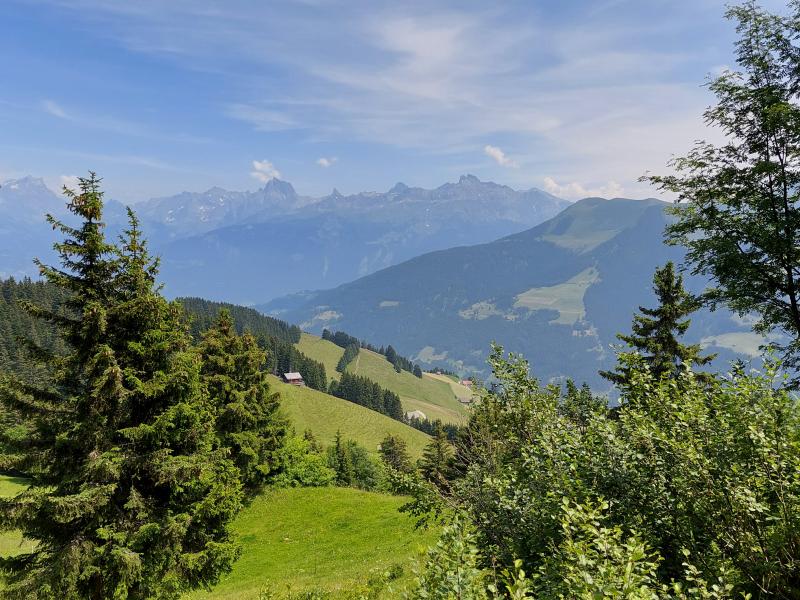 La Foilleuse - Morgins