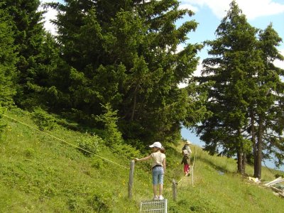 Une barrière à vaches à franchir