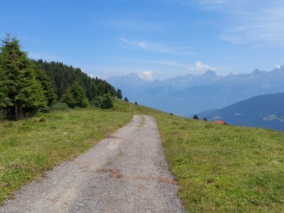 Le début du chemin