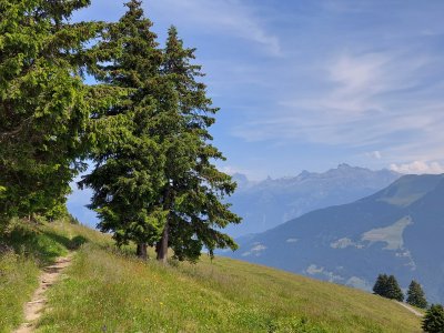 Joli sentier, avant de redescendre