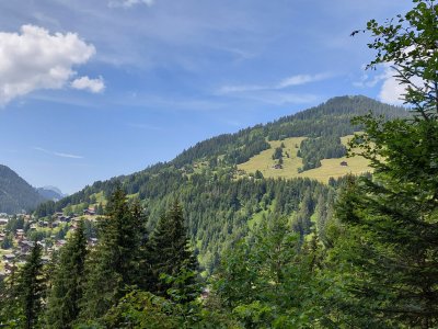 Vue sur le village de Morgins et lle Bec du Corbeau