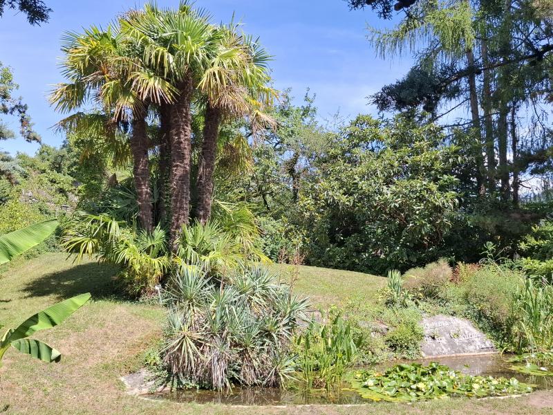 Jardin botanique de St-Triphon