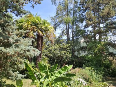 Au jardin botanique