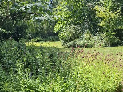 Au jardin botanique