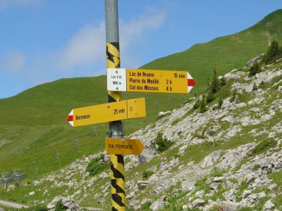 Au bord du Lac d'Aï