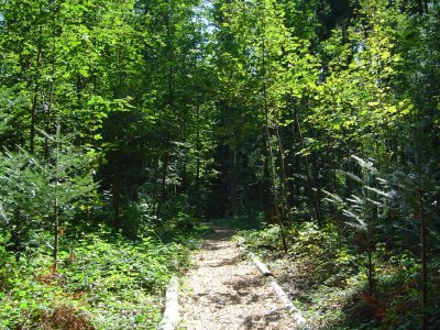 Le sentier