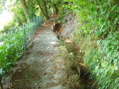 Sentier du bisse
