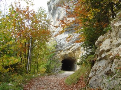 La route dans la forêt, en fin de balade