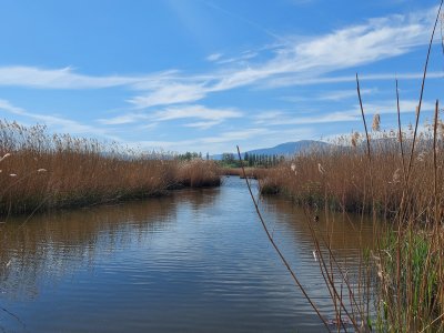 La Grande Cariçaie