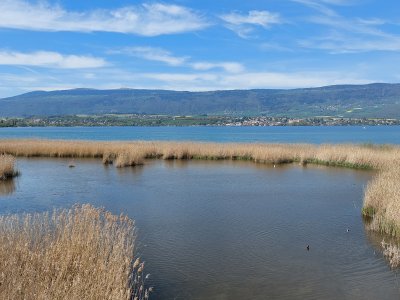 Vue depuis l'observatoire à oiseaux