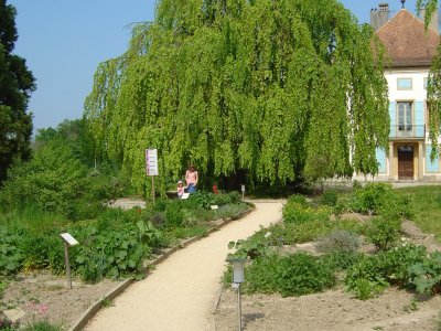Arrivée à Champ-Pittet