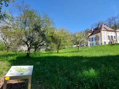 A Champ-Pittet, le château est situé au milieu d'un écrin de verdure