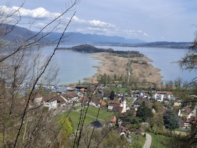 Vue sur Erlach et l'Île St-Pierre