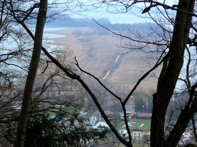 L'Ile St-Pierre, vue depuis Jolimont, au-dessus d'Erlach
