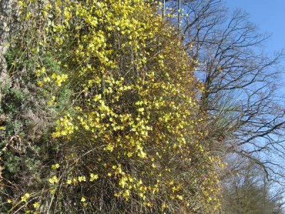 Chemin près de La Sarraz