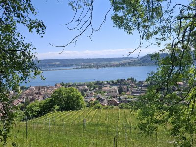 Vue depuis la place de pique-nique, au poste "les paysages de la sorcière"