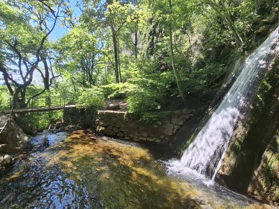 La Cascade de La Neuveville
