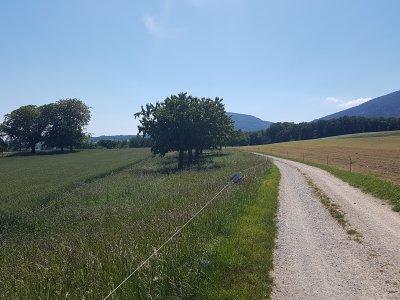Peu après la ferme du château