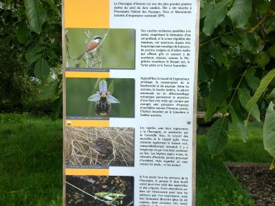 Panneau explicatif sur La Chasssagne