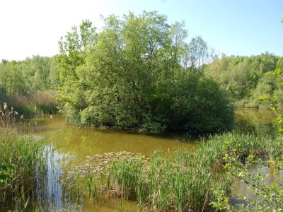 L'île