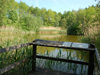 Deuxième ponton d'observation et vue sur les poissons