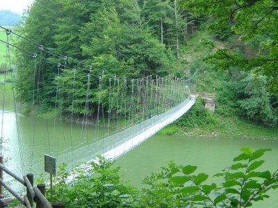Pont suspendu juste avant Charmey