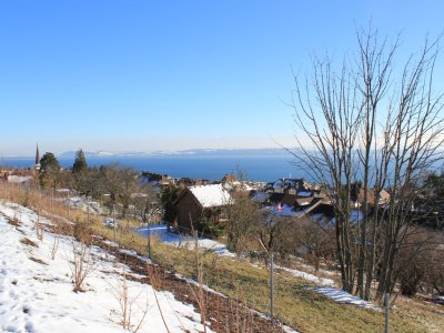 Au départ de la promenade forestière