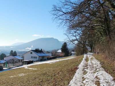 Promenade forestière