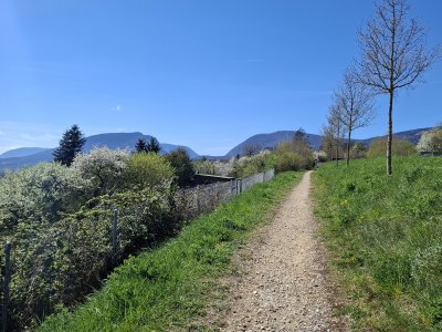 Départ de la Promenade forestière