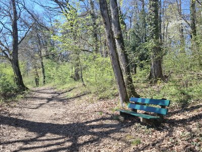 Dans la forêt, plusieurs bancs jalonnent le sentier