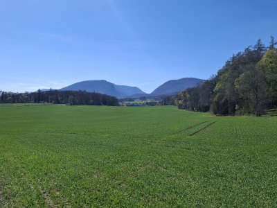 Les champs et au fond le Creux-du-Van