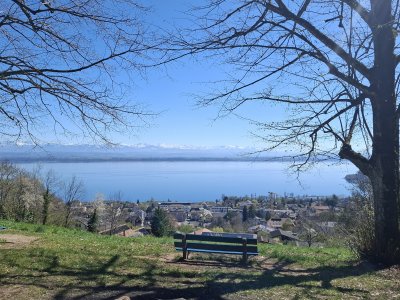 Vue sur le lac et les Alpes