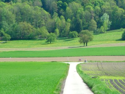 Le chemin goudronné, agréable à pratiquer à vélo