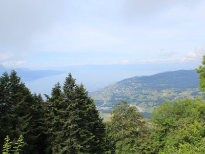 Vue depuis la terrasse du restaurant