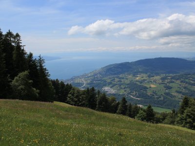 A notre retour à pied à Blonay, vue imprenable sur le lac Léman et le Mont Pélerin