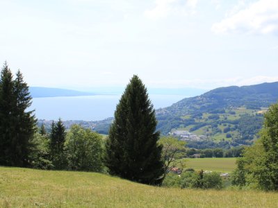 le même paysage, vu d'un peu plus bas!