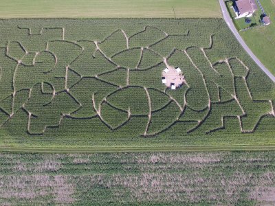 <p>Le labyrinthe, vu d'avion</p>