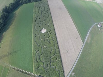 Labyrinthe 2018: le cactus