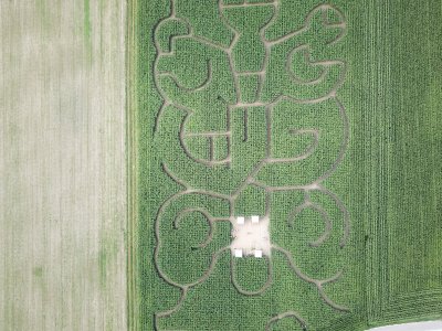 Le labyrinthe, en 2020