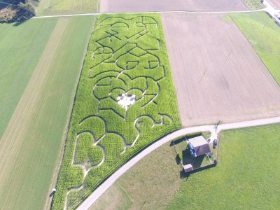 Le labyrinthe en 2021: les coeurs