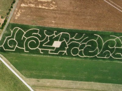 Labyrinthe 2023, les vagues