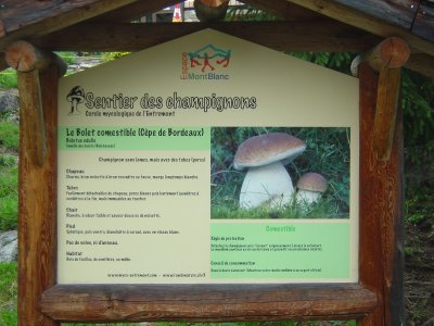 Panneau didactique à Champex