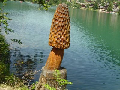 Sculpture de champignon au bord du lac de Champex