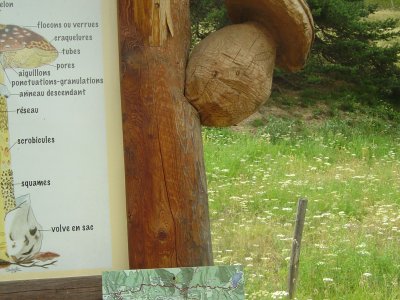 Un champignon a "poussé" sur le panneau didactique