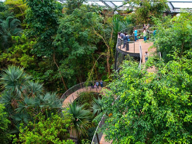 Zoo de Zurich