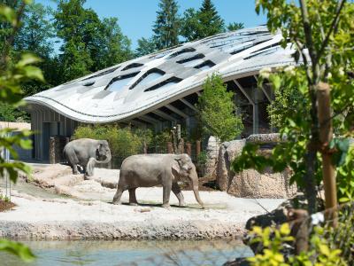 Espace extérieur du parc des éléphants.<br<Copyright: Zoo Zürich, Jean-Luc Grossmann